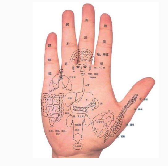 手指缝手相,手指间隙大小,手形看人运势_达一风水网