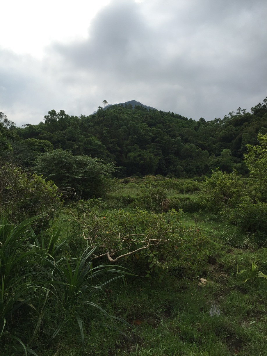 阴宅风水之寻龙点穴图解