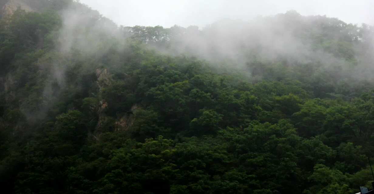 夏日印象之山水田园