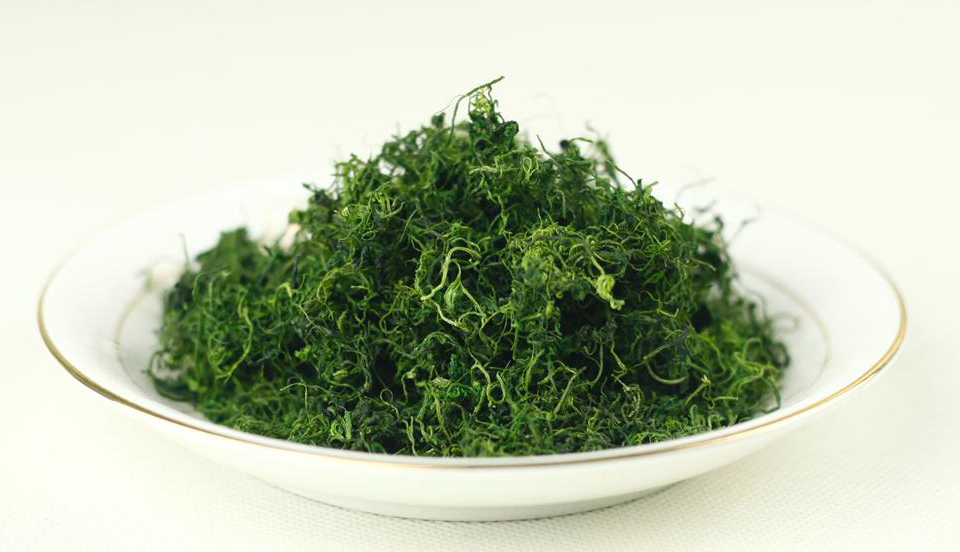 什么人不适合喝七叶胆 -生活知识库-动动脑