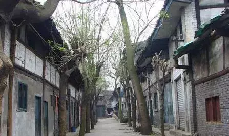 重庆各区县一读就错的地名，看看有你的老家么？
