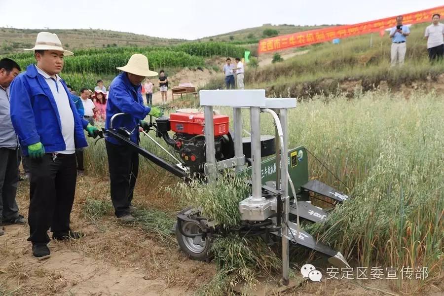 山乡唱响田野进行曲——安定区山地牧草机械收割工作扫描