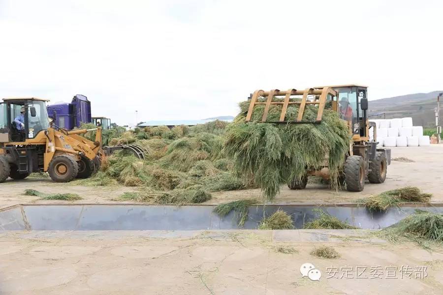 山乡唱响田野进行曲——安定区山地牧草机械收割工作扫描