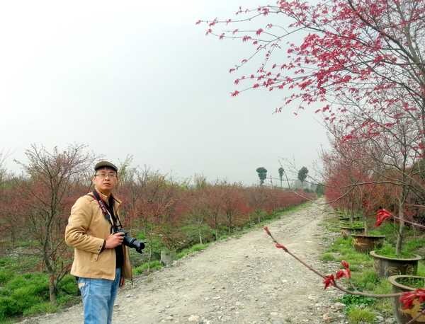 日出江花红胜火，霜叶红于二月花－－游成都温江红枫林