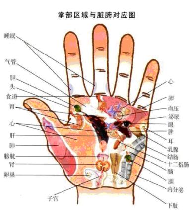 手相----之健康解秘。