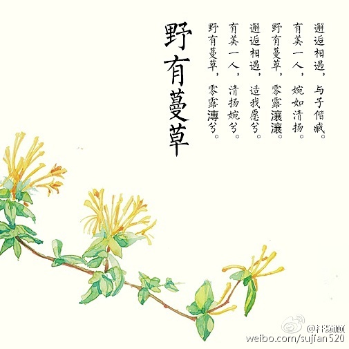 《诗经》是中国古代诗歌开端，最早的一部诗歌总集