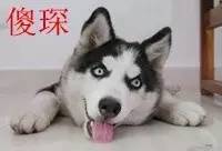 常识趴 | 顽固皱纹怎么去除？为什么有的方法没效果？(下）