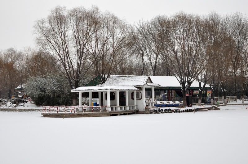 永濟橋高家大院石佛森林公園高碑店市(市北)百國極樂寺白溝公園開善寺