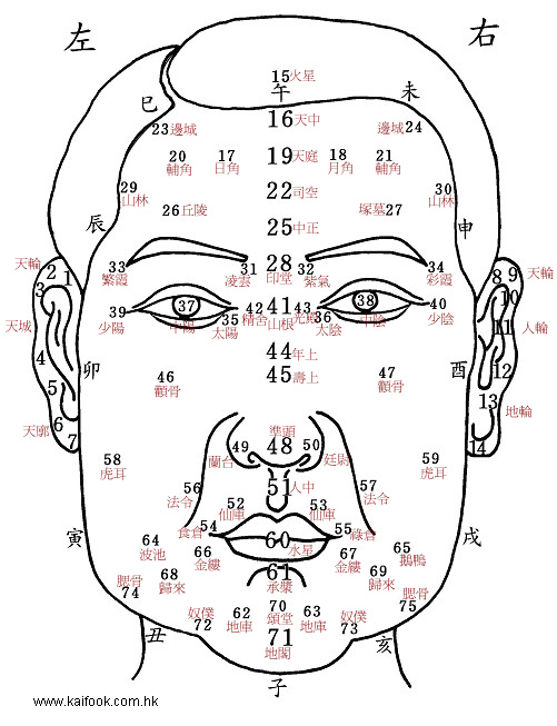 古人总结出的面相之宫到底在说什么？需要自我验证！