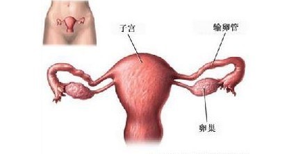 输卵管造影做完后注意事项（输卵管堵塞的10个征兆）-第1张图片-科灵网