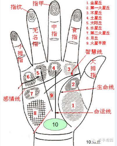 谣言粉碎机——断掌真的克夫么