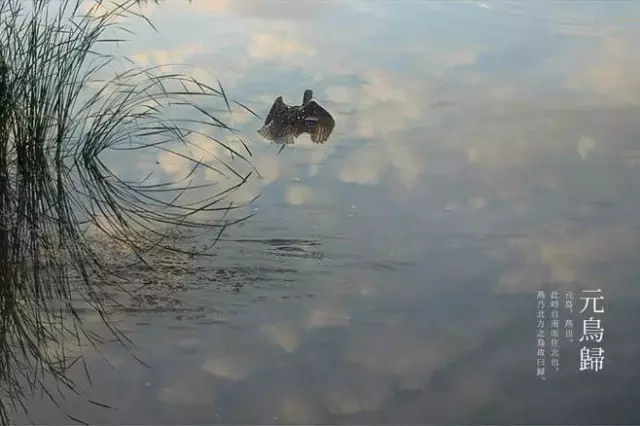 凉风至  白露降