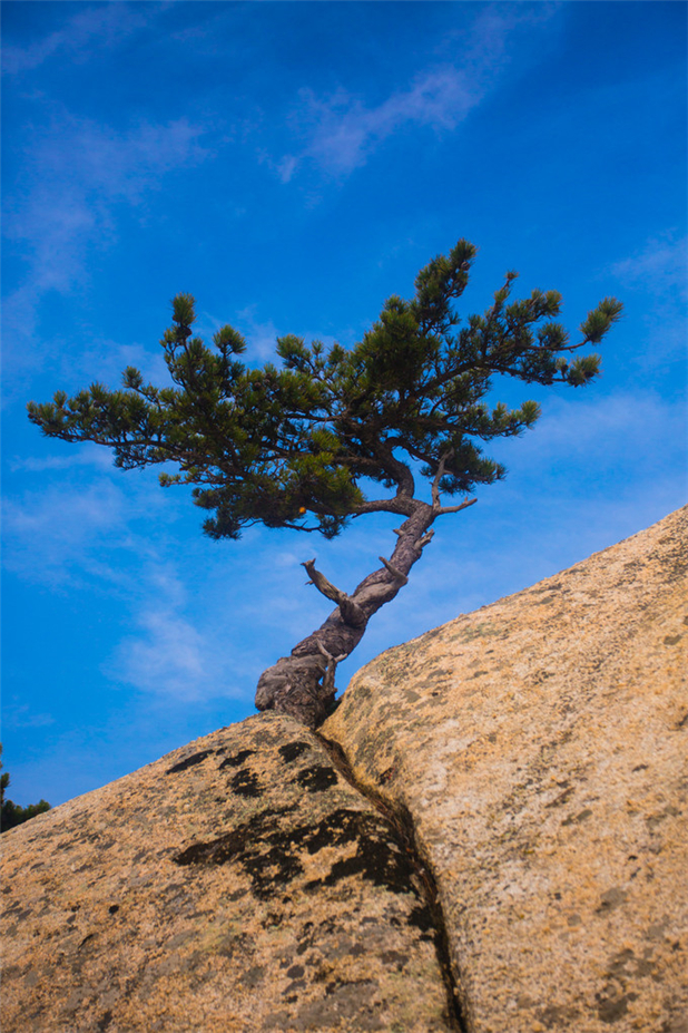 华山，西岳峥嵘何壮哉，徒步登上华山之巅