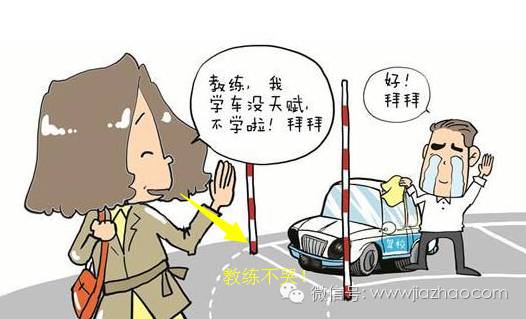 2016考驾照要多少钱？你的城市排第几？