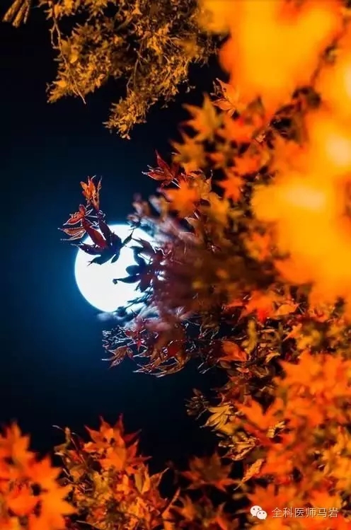 极美的圆月带给您极好的中秋祝福！