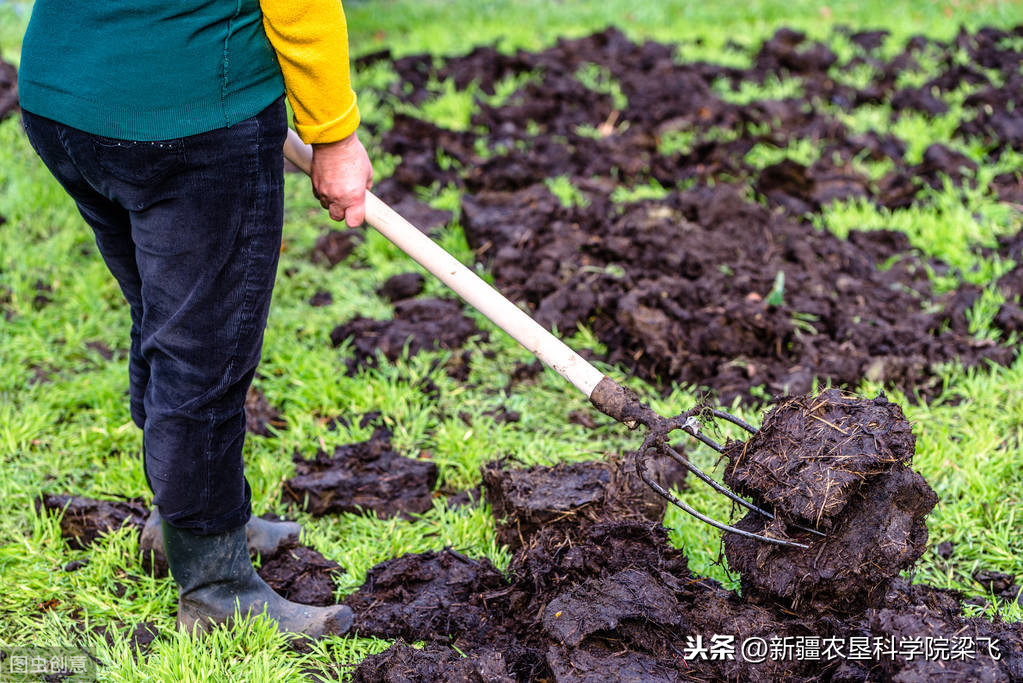 基于为什么施肥，什么肥，多少肥，分析如何合理施用有机肥的方法