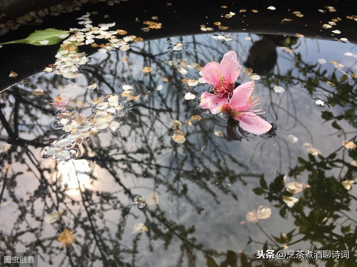 “落花时节又逢君”，述不尽的辛酸与无奈