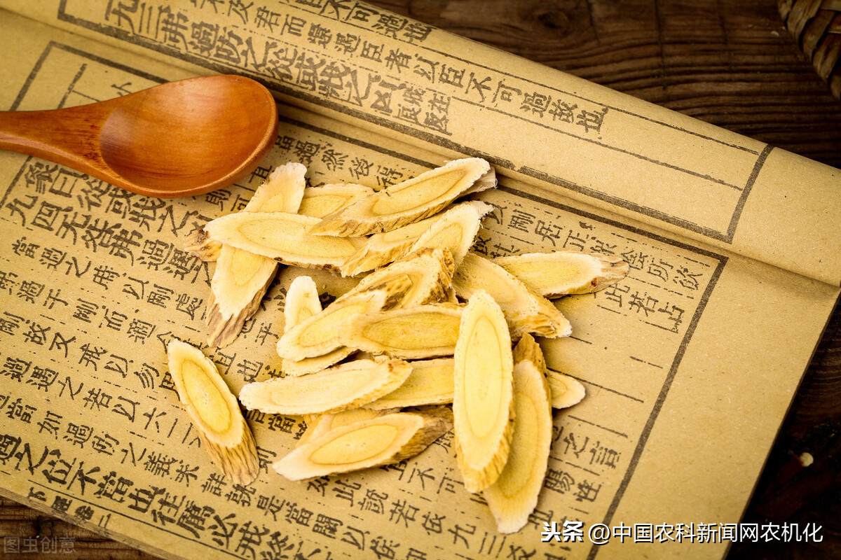 黃芪種植,黃芪種植技術及畝收益