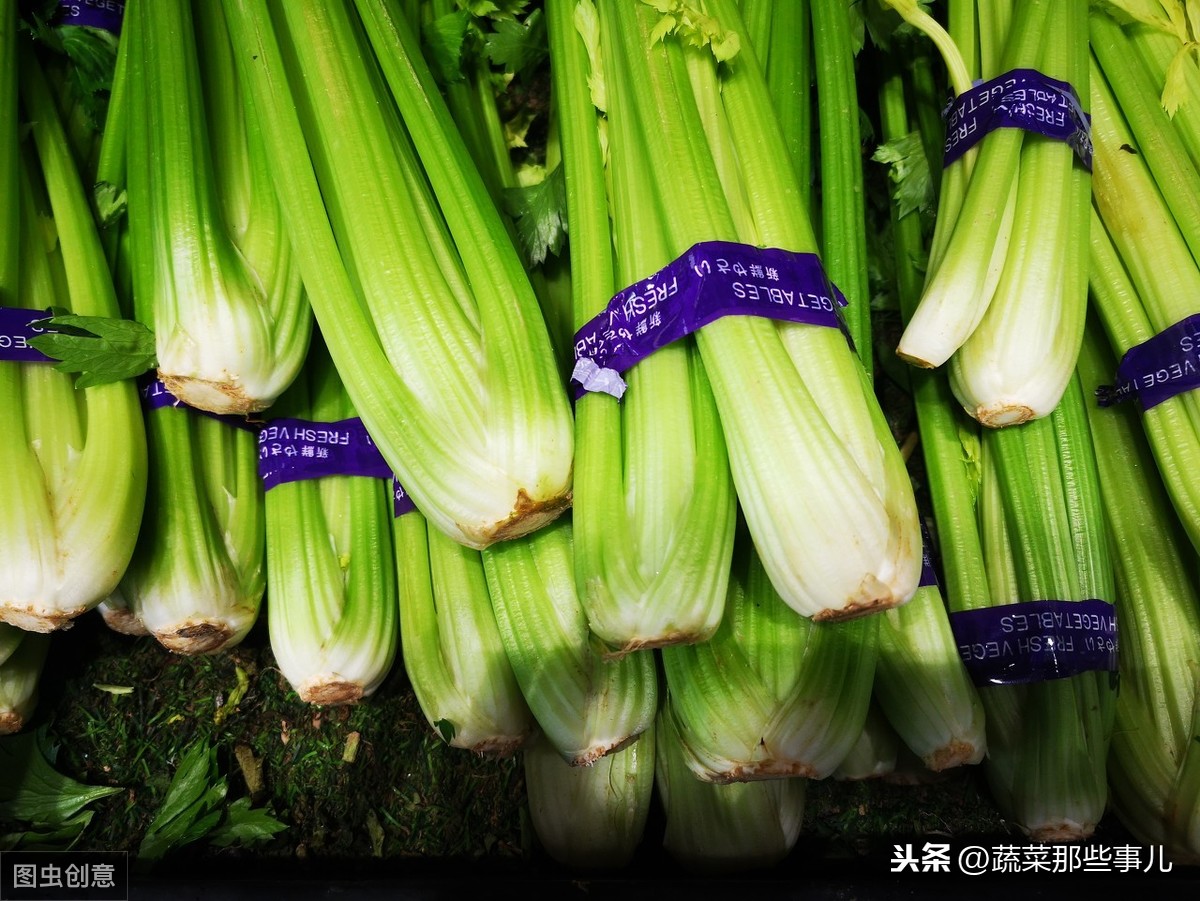北京新发地市场：菜价继续小幅回落，芹菜、广茄周环比下降20%以上，尖椒、番茄价格上涨