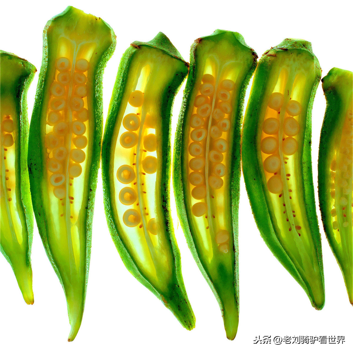 绿色食品 标准,绿色食品标准的特点主要有