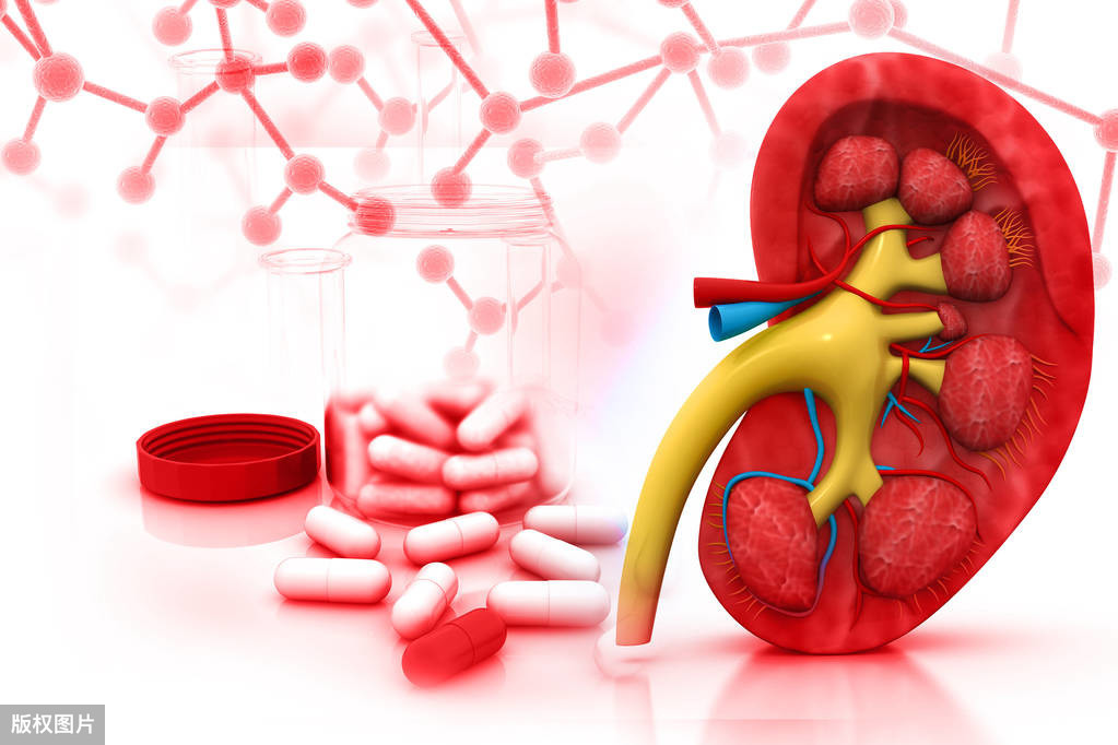 百令膠囊能長期吃嗎慢性腎炎,百令膠囊能長期吃傷腎嗎-友友
