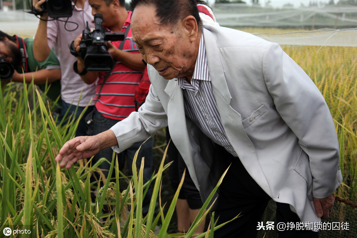 近亲为什么不能结婚？有哪些危害？