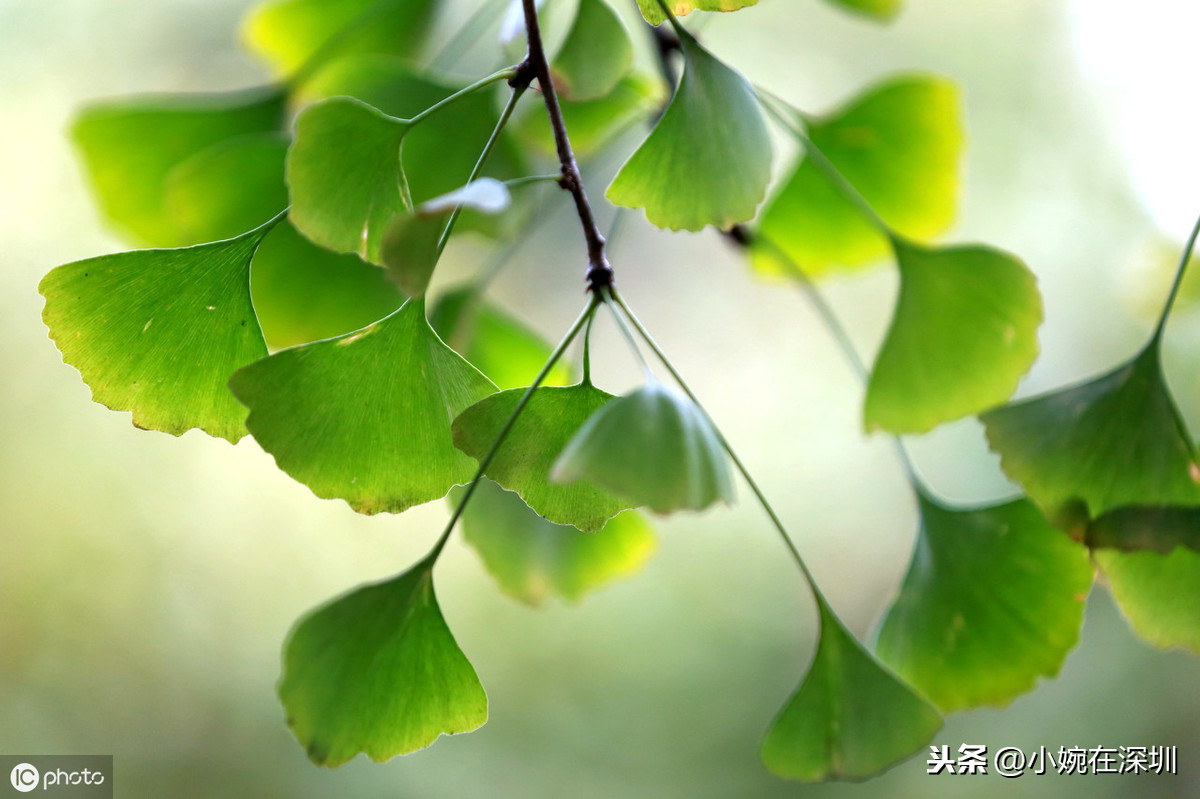 心里有阳光，下雨也是一种浪漫，12句正能量句子