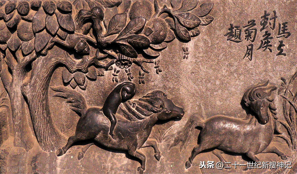 生肖之谜（十八）森林精灵，人类近亲：数一数中国有几种猴类？
