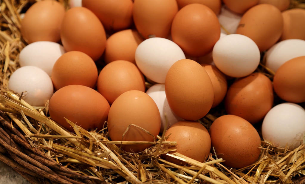 3月22日全国鸡蛋价格，稳，生猪价格下跌，对鸡蛋价格有影响吗？