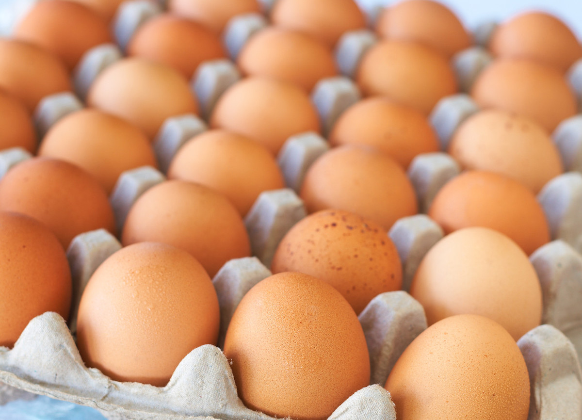 阳春鸡蛋今日价格「长春鸡蛋价格 今日价格」