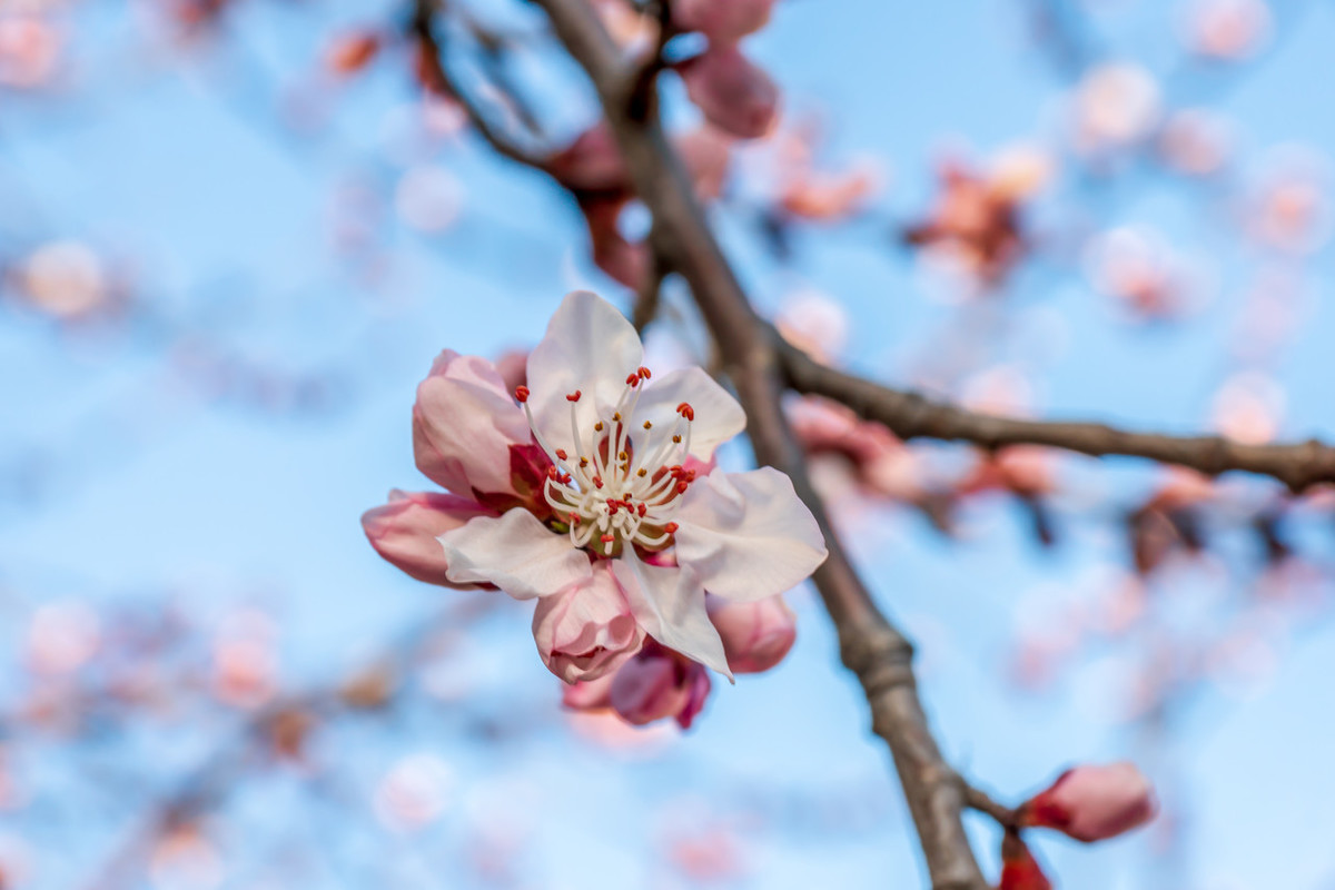 含有冬字的诗句100首飞花令(带有冬字的古诗词100首)