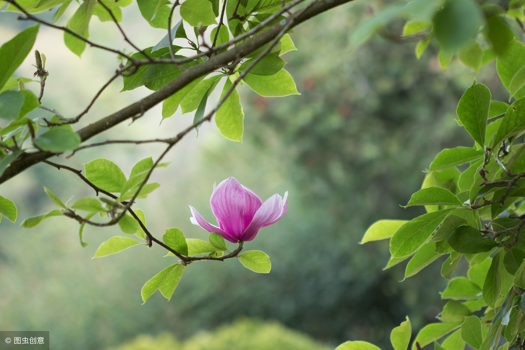 风水入门之八宅风水（二）