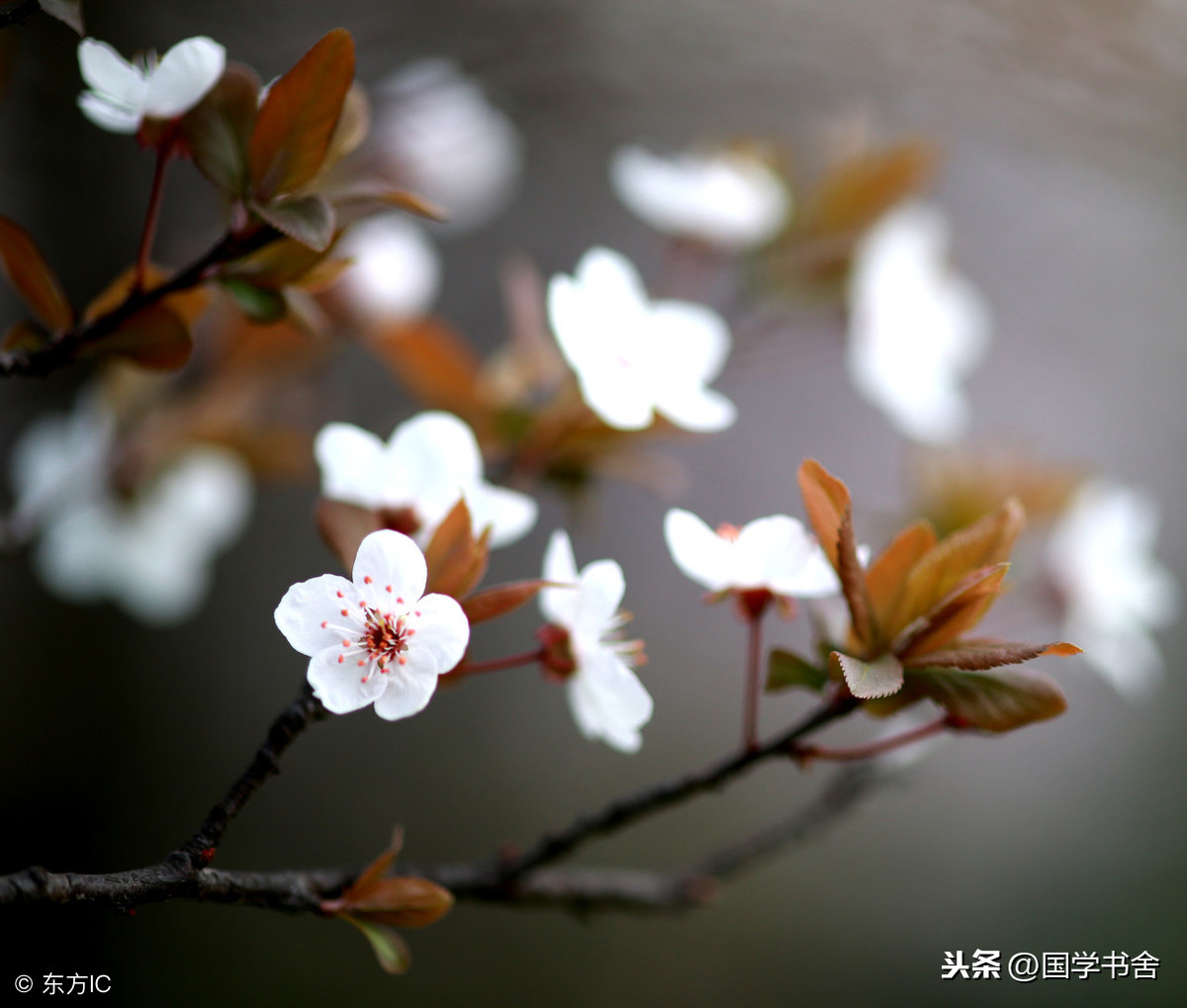 《菜根谭》：做到自我反省，从内心出发，才能避免犯错