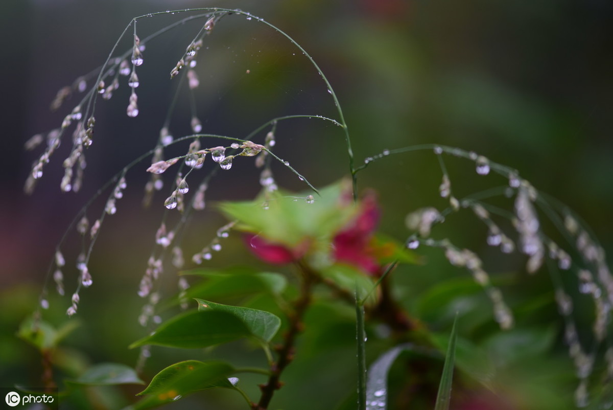 诗词美文：秋雨夜眠