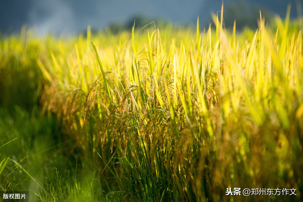 让作文出彩的137则名言警句，学霸们都收藏了，不怕作文写不出来