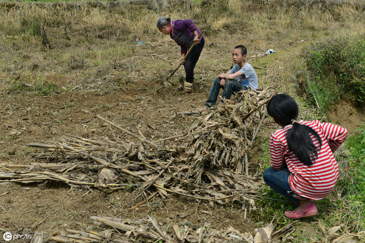 自己费心费力开垦土地，没确权就没补偿？