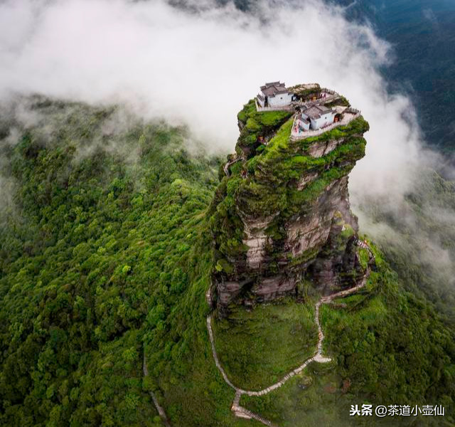 贵州只有白酒？让你1分钟快速了解贵州10大名茶