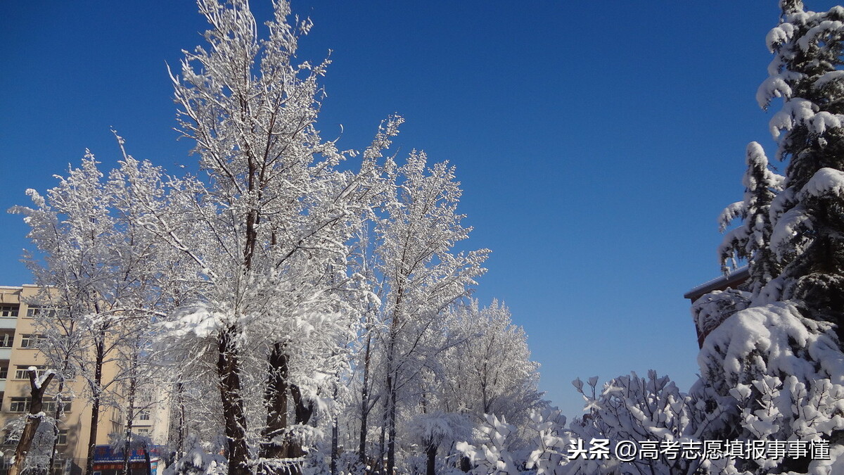 大学慢慢谈之华北电力大学（北京）