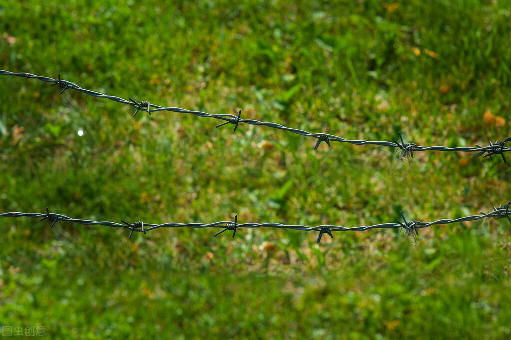护栏网生产厂家-铁丝网围栏规格优点-远迅护栏