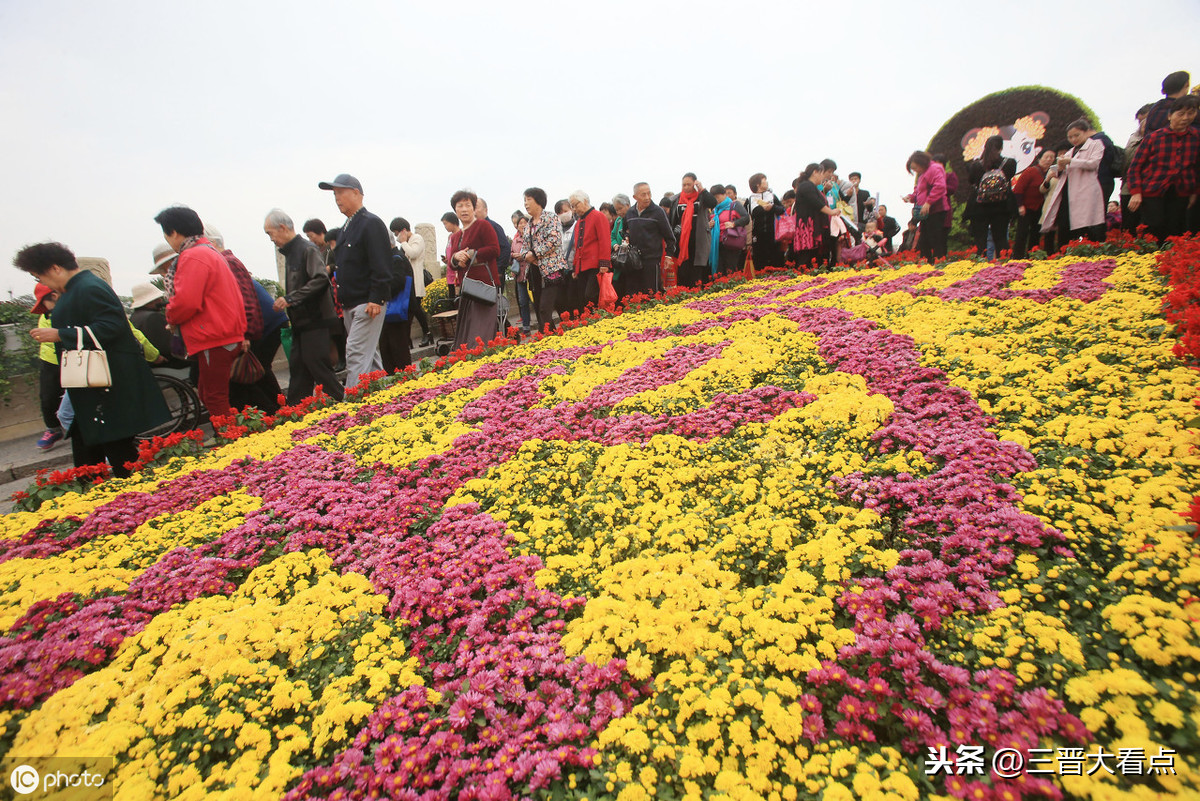 岁岁重阳今重阳