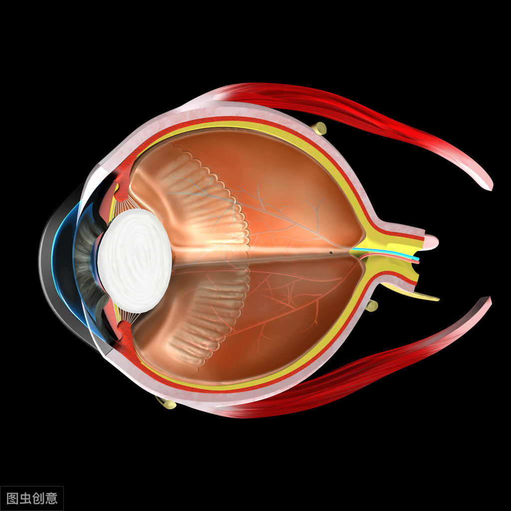 经常晚上打羽毛球对眼睛好吗(都说预防近视需要多去户外活动，大多数人可能做错了！你中招了吗)