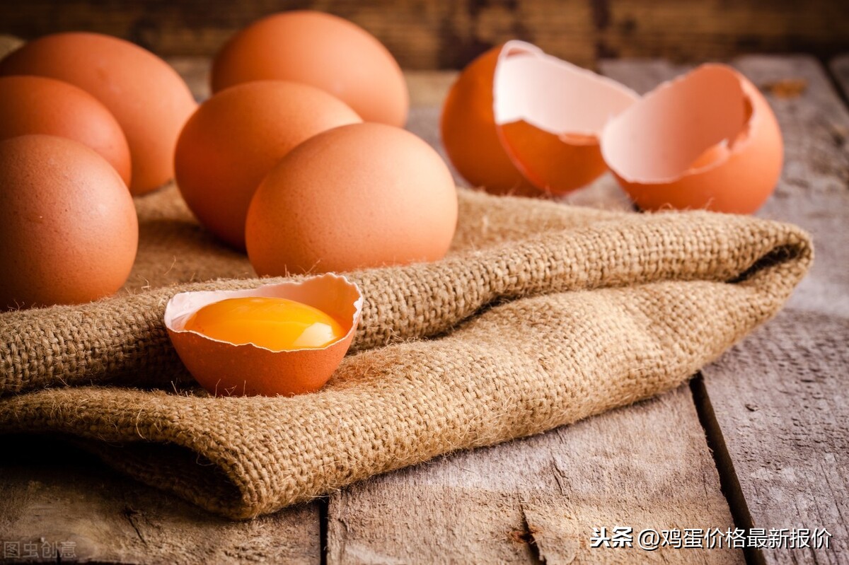 文安县今日鸡蛋价格（鸡蛋价格 今日价全国）