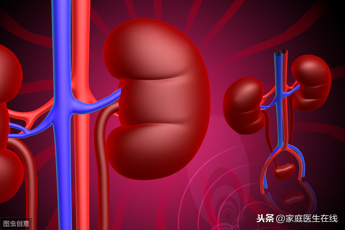 注意：出现了这3种情况，建议做肾功能检查