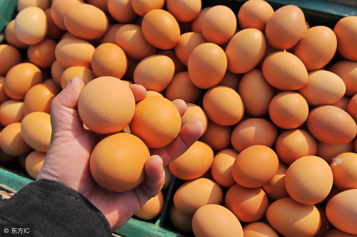 中牟鸡蛋今日多少钱一斤，今日鸡蛋价格多少钱一斤