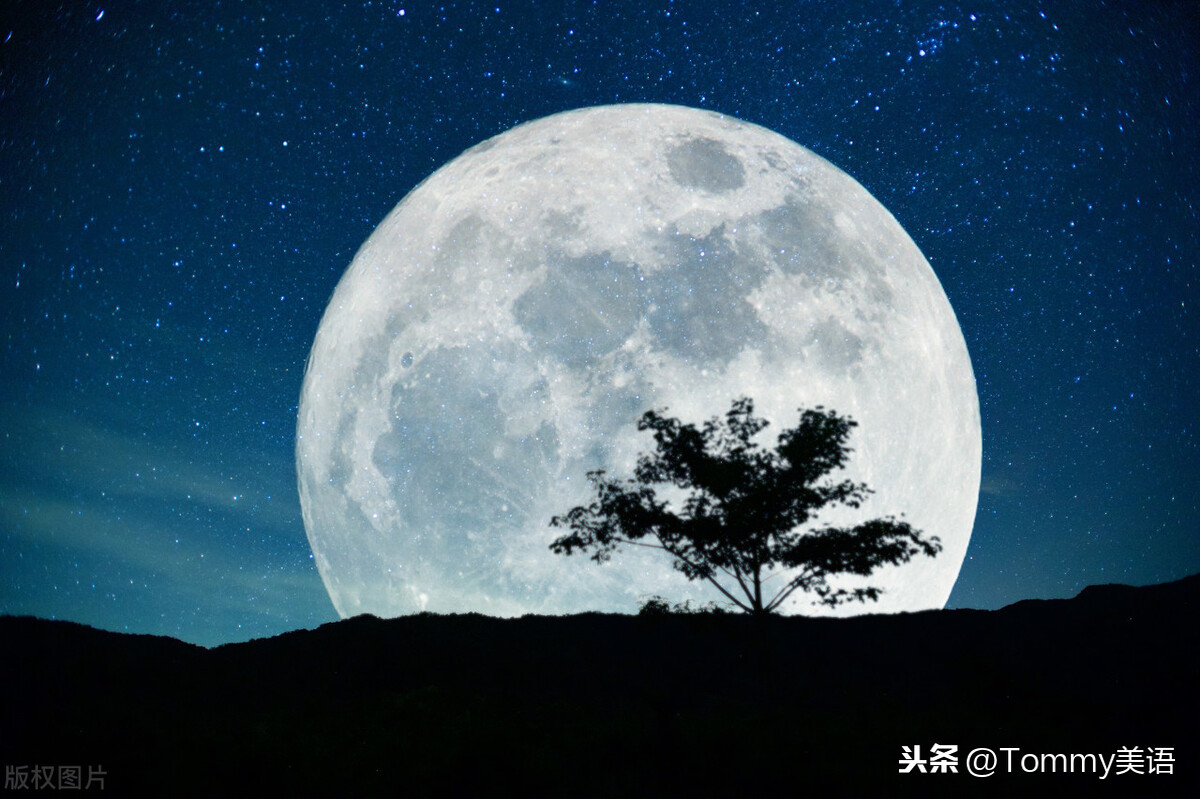 moon怎么读（mooncakes怎么读）