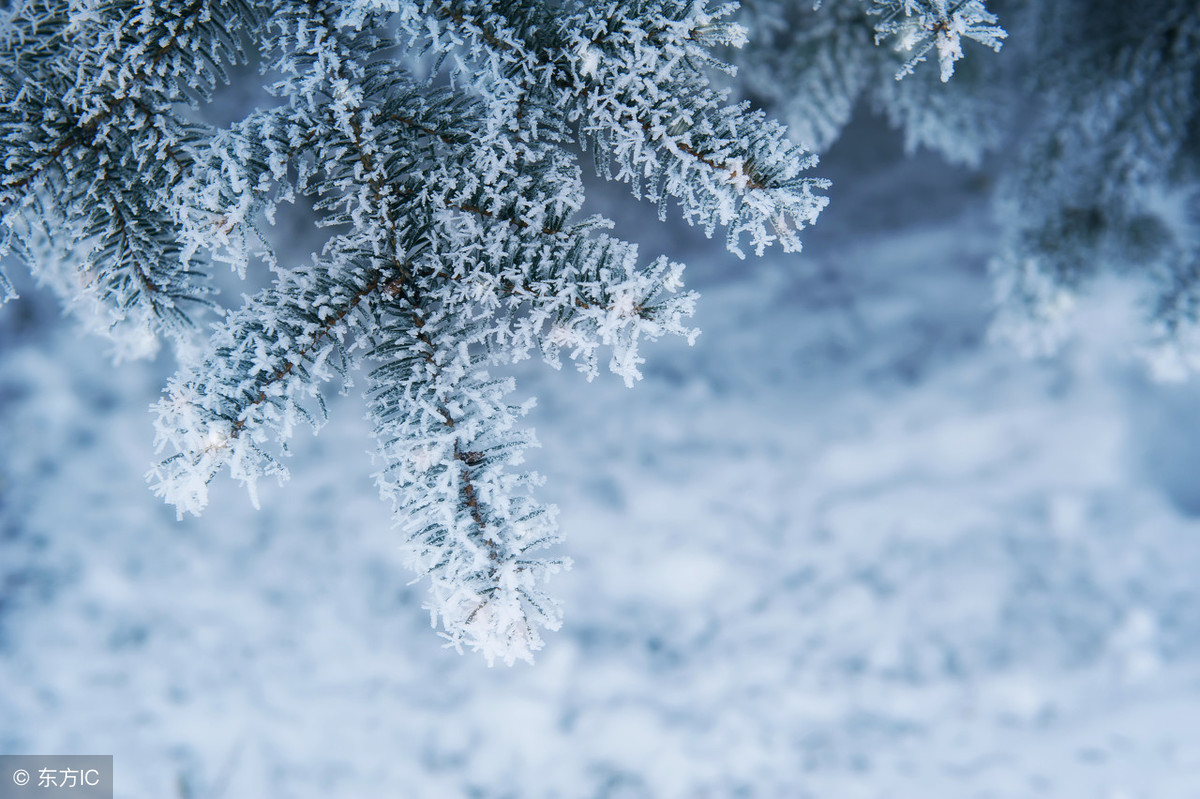 诏安俗语赏析 各人自扫门前雪 不管他人瓦上霜