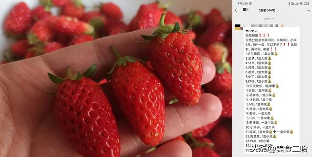 济南草莓大降价，25元买了5斤，教你正确清洗方法，健康最重要