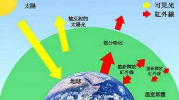 专家解读：黑色地膜和白色地膜的区别