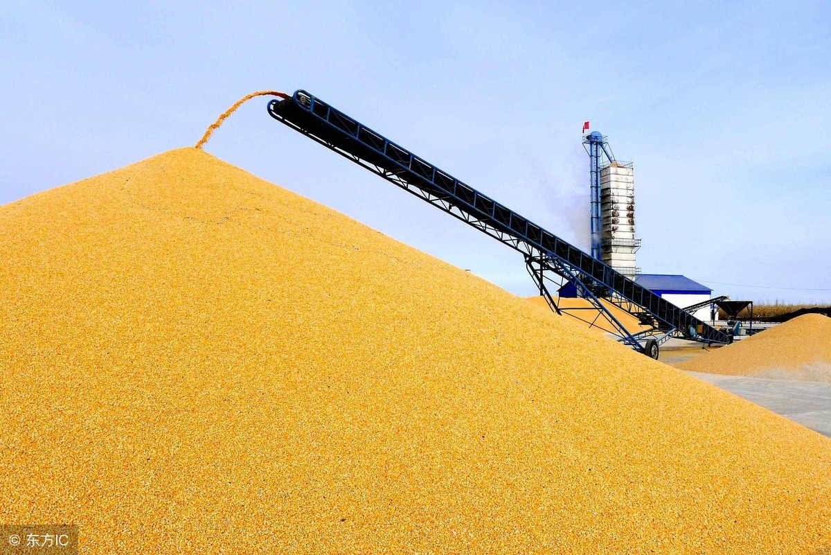 2018年11月30日据统计全国15%水分玉米价格行情！