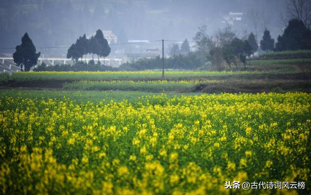 235首唐诗宋词中最美的思乡名句，送给在外漂泊的游子们